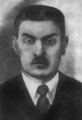 Винницкий Михаил Вольфович (1891-1919)